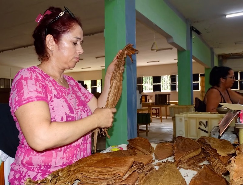 tabacos fabrica 10.jpg